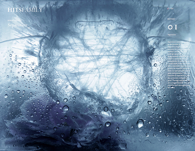 frozen flower by Namiko Kitaura for HITSFAMILY