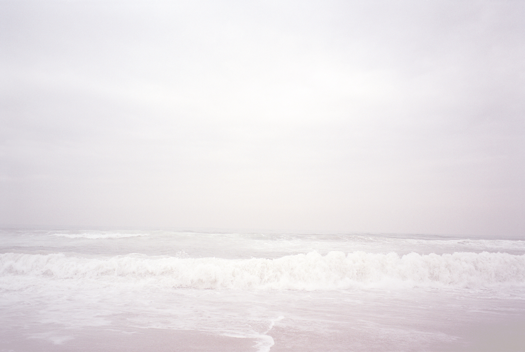 white Australian shore shot by Namiko Kitaura