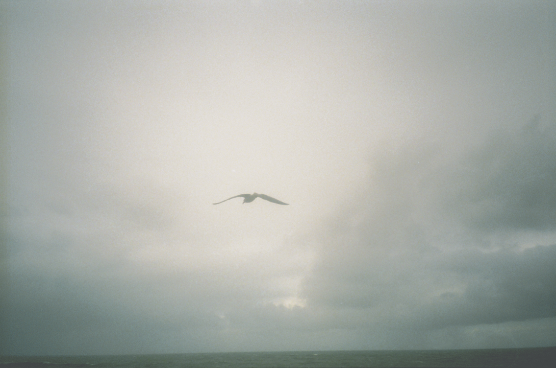 Landscape picture shot in San Sebastian by Namiko Kitaura