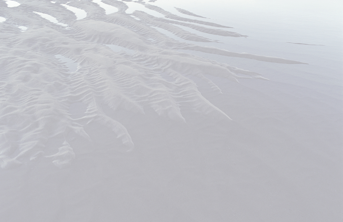 white Australian shore shot by Namiko Kitaura