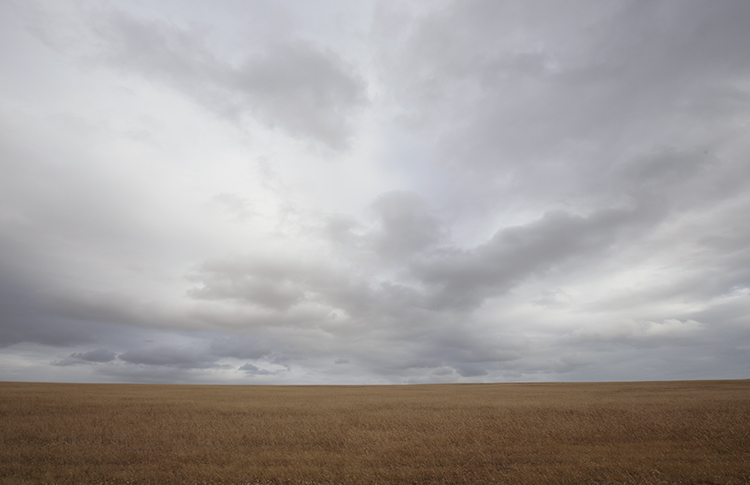 a photograph of Australian prairie by Namiko Kitaura
